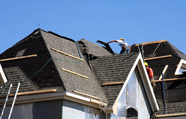 Best Flat Roof Repair Services  in Leupp, AZ