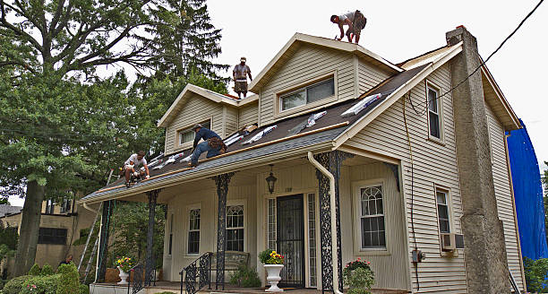 Best Shingle Roofing Installation  in Leupp, AZ