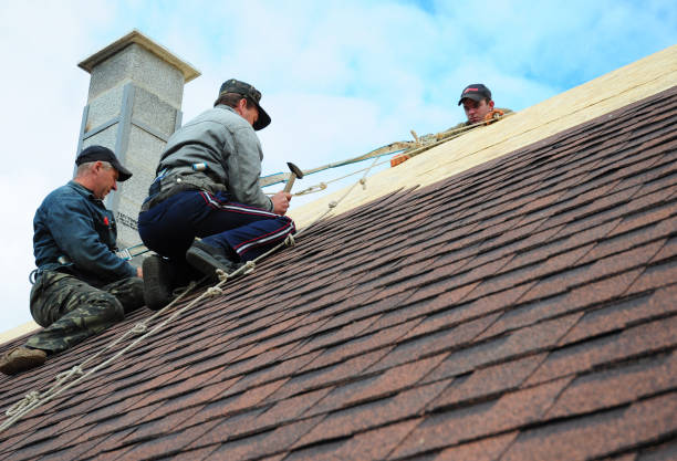 Best Tile Roofing Contractor  in Leupp, AZ